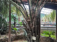 -呀路古热带植物园