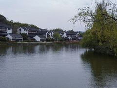 -鲁镇