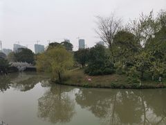 -八大山人梅湖景区