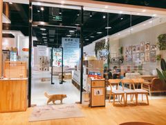 -藏猫猫咖啡主题馆(中央大道店)