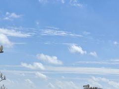 -日照世帆赛基地