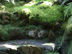 -深圳仙湖植物园