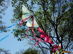 -人民公园(罗湖区)