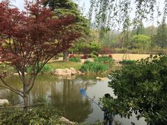 -习家池