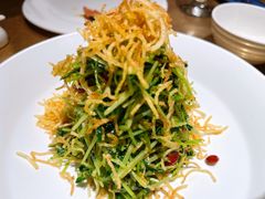 巧拌豆苗-四季民福烤鸭店(西单华威约饭街店)