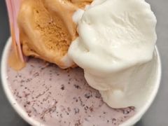 -红楼HONGLOU Gelato(淮海中路店)