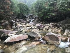 -大鄣山卧龙谷景区