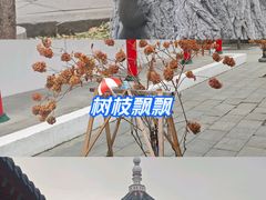 -哈尔滨极乐寺