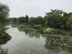 -尚贤河湿地