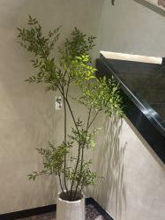 -爱小熊轻医美