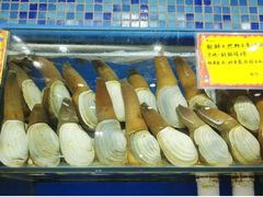 -蚝专家(北滘店)