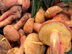 -云南木水花野生菌交易中心