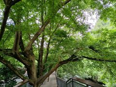 -阿哈湖国家湿地公园