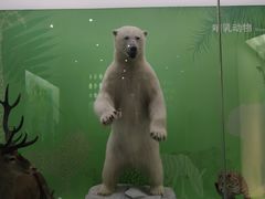 -国家自然博物馆