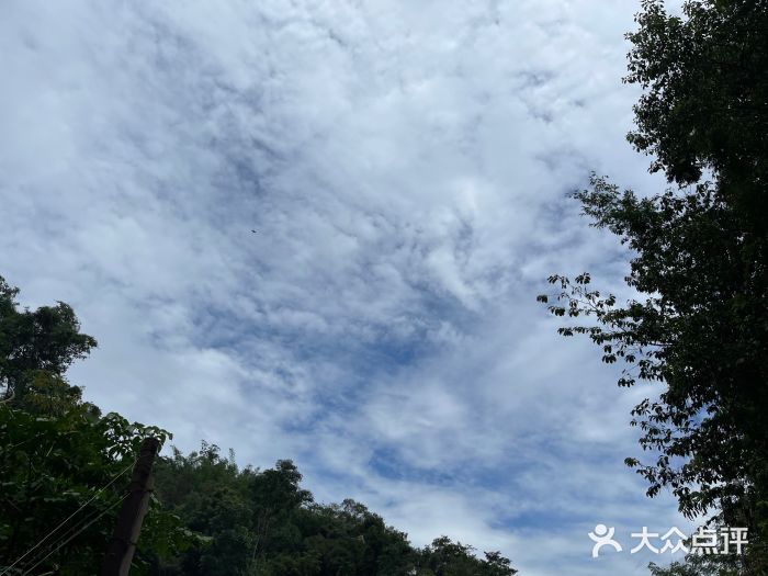 野象谷景区图片