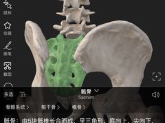 -锐动健身游泳(博地中心店)
