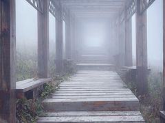 -白草畔自然风景区