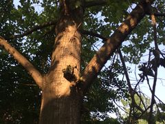 -祥源·阜阳生态乐园