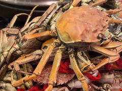 -乔哥铭洋海鲜自助(皇城恒隆广场店)