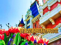 -上海迪士尼度假区