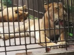 android_upload_pic-广东茂名森林公园