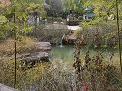 -咸宁万豪温泉谷度假区