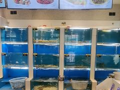 -赶海部落海鲜城(海阳路店)