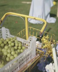 -明典婚礼策划·婚车租赁·婚纱摄影