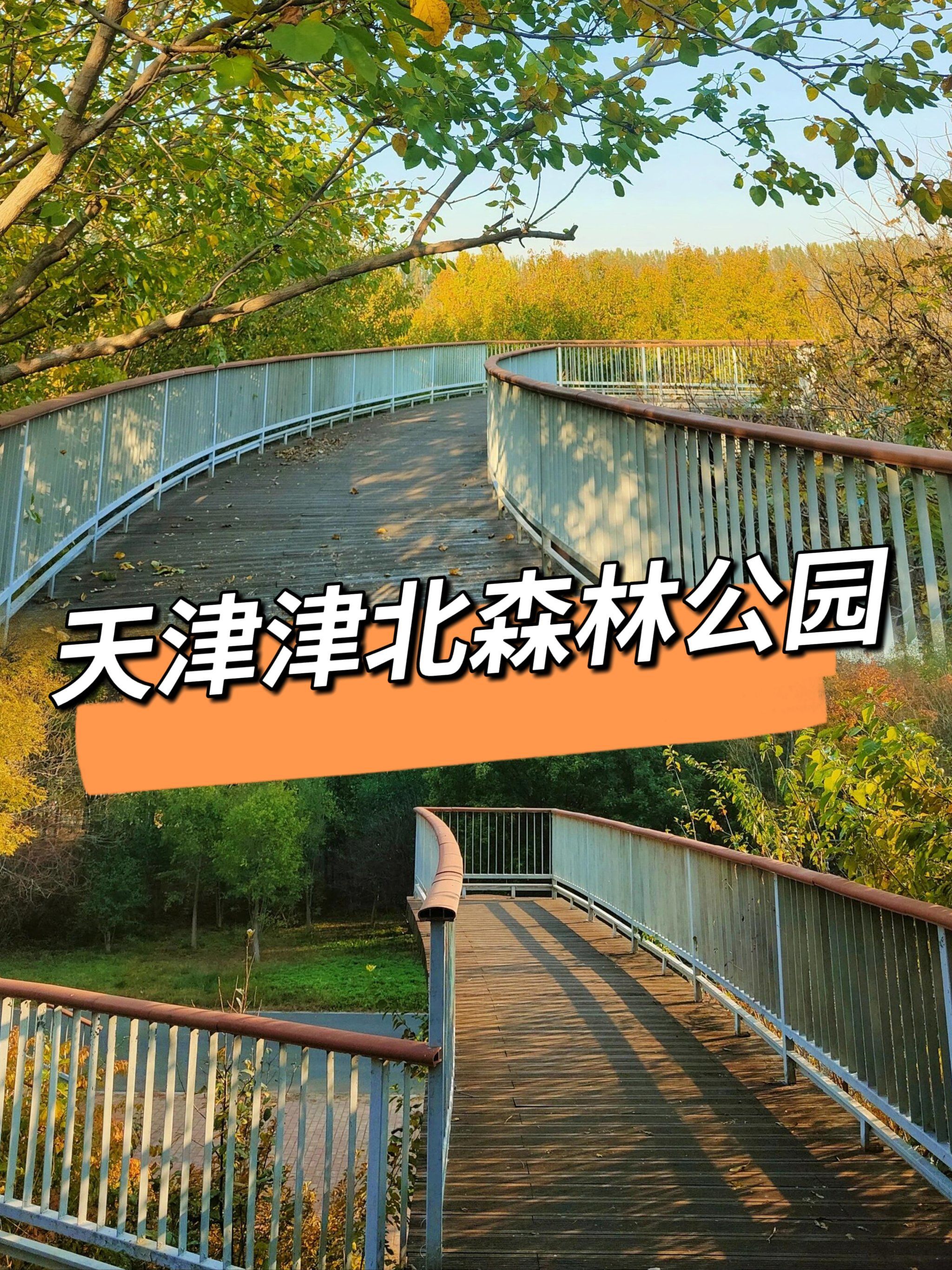 天津津北森林公园精打细算一日游保姆级攻略!