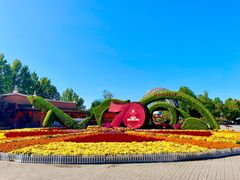 -大兴滨河森林公园