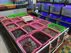 -众味海鲜大排档·活海鲜·潮汕味(南澳店)