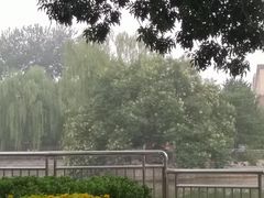 -黄村公园