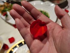 -皇朝会.经典传统粤菜(外滩店)