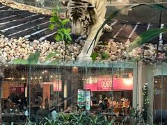 -白虎自助餐厅·真老虎·景观自助餐厅(广州长隆酒店)