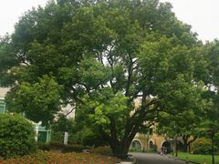 -上海兴国宾馆香樟园西餐厅