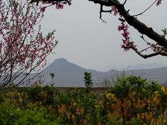 -岱崮地貌旅游区