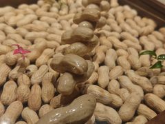 -虹之森·小馆