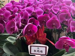 -郑州植物园