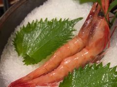 -有喜屋·日料·居酒屋(旭辉广场店)