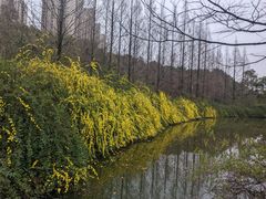 -成都南湖公园