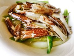 -新光酒家·河豚·海鲜·蟹料理(浦东店)