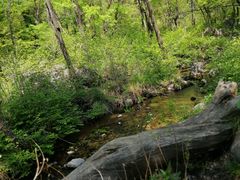 -玉渡山自然风景区