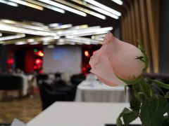 -悦禧耕岛酒店·指月坞餐厅·旺山特色农家乐