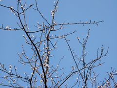 -重庆中央公园(渝北区)