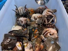 -争先鲜·蒸汽海鲜自助·鲜切牛肉