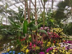 -北京植物园-展览温室