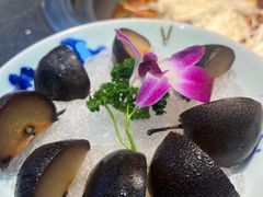 -山河屯铁锅炖(哈西站店)