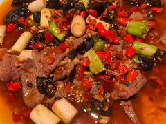 -蓉城小馆(科兴店)