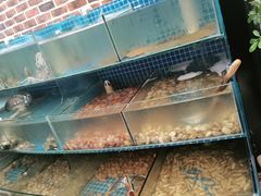 水产区-蟹谢蒸鲜自助餐厅