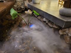 -花溪雨·森林餐厅(石基店)